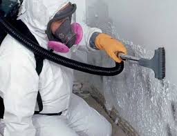 Trusted Green Knoll, NJ Mold Prevention & Removal  Experts